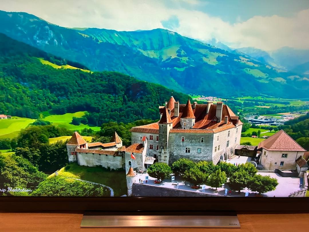 東芝REGZA55V型 液晶テレビ 55BM620X 2018年製