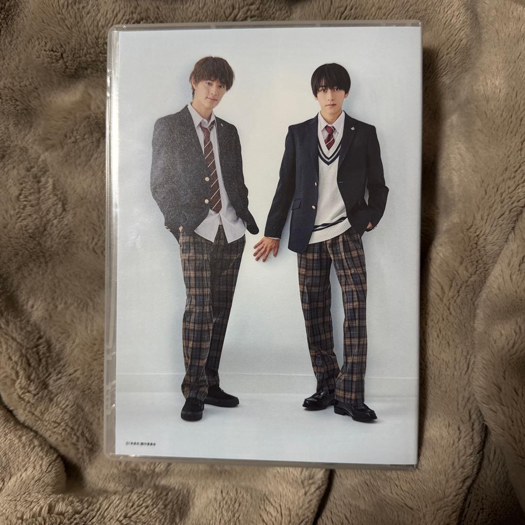 未成年～未熟な俺たちは不器用に進行中～ DVD BOX