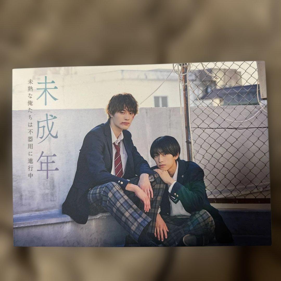 未成年～未熟な俺たちは不器用に進行中～ DVD BOX