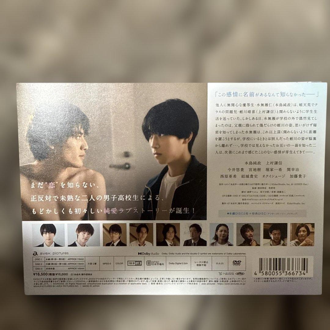 未成年～未熟な俺たちは不器用に進行中～ DVD BOX