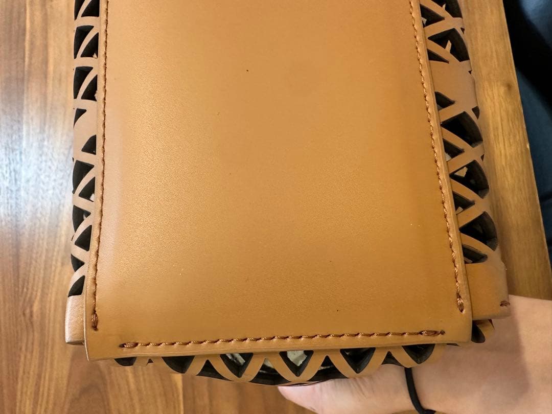 値下げ★【ATNITA BILARDI】アニタビラルディレザー　メッシュバッグ