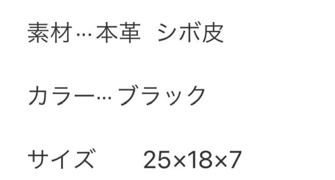 ECCO ボディーバッグ　本革