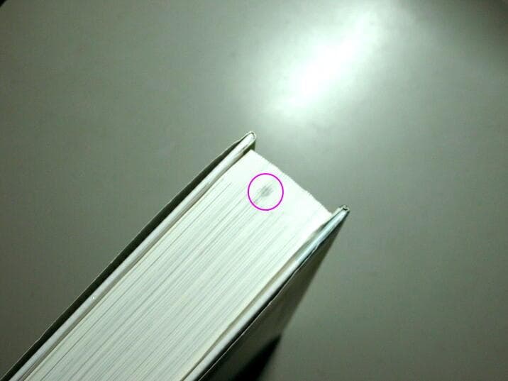 ■ヤークトパンター戦車隊戦闘記録集■第654重戦車駆逐大隊■