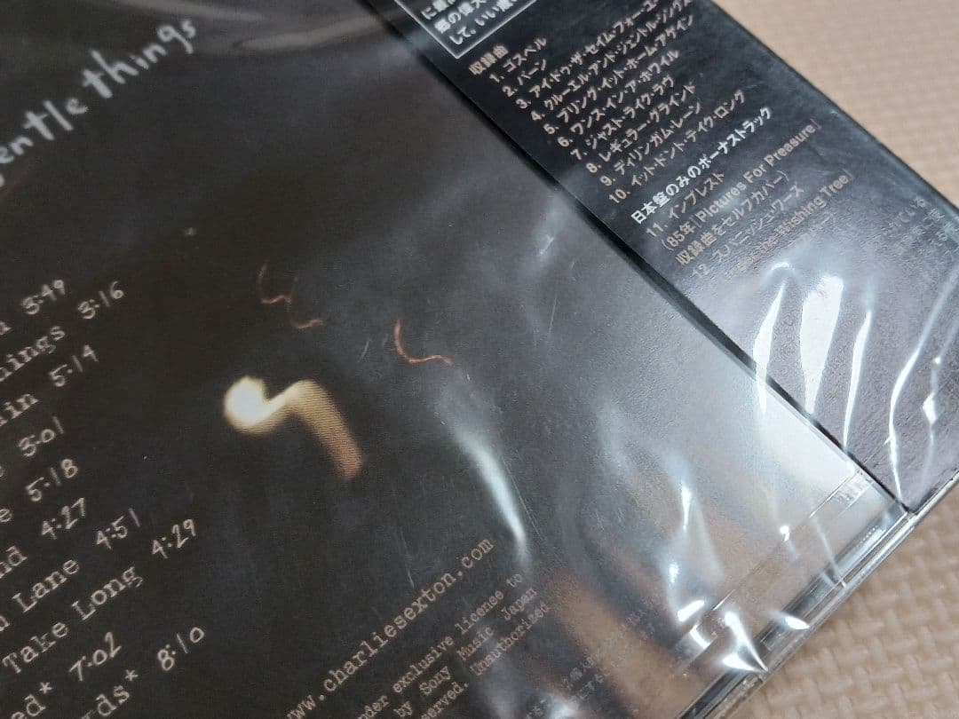 Charlie Sexton 明日への轍 国内盤CD
