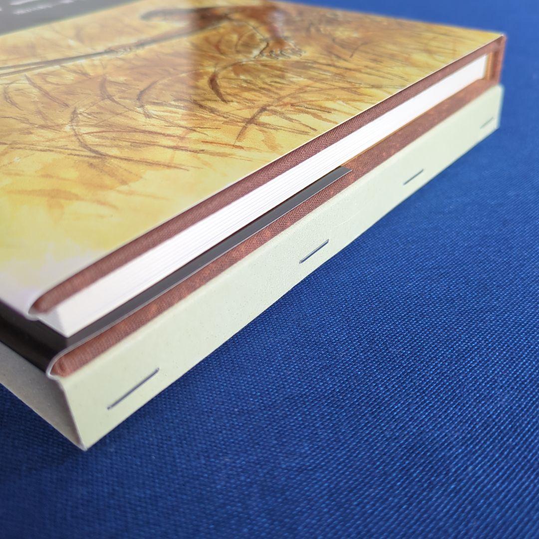 縄文酋長 オピポー 悠久の3000年前をいまに（浅川利一）非売品