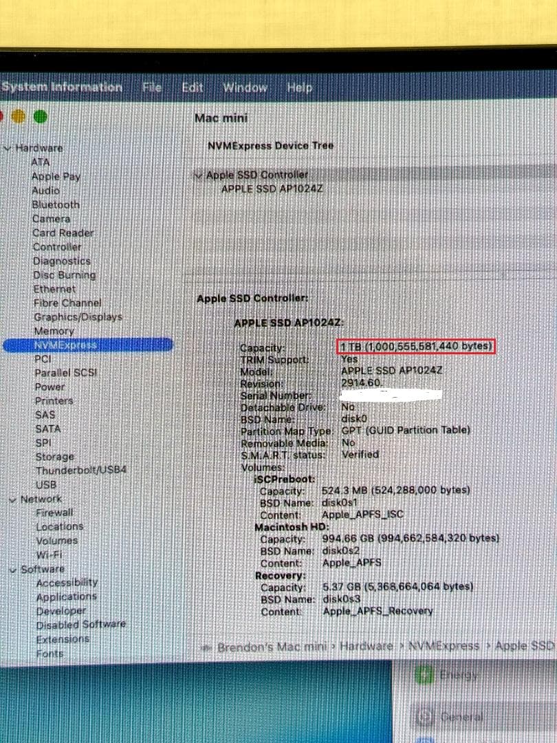 【極美品】Mac mini M4 Pro/24GB/1TB/10Gb LAN