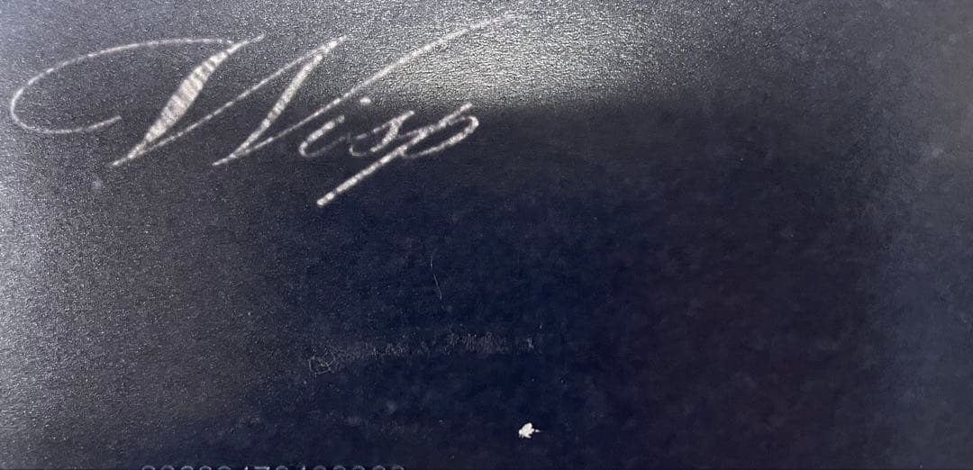 Wisp If Not Winter 限定版 LP レコード　レア 希少