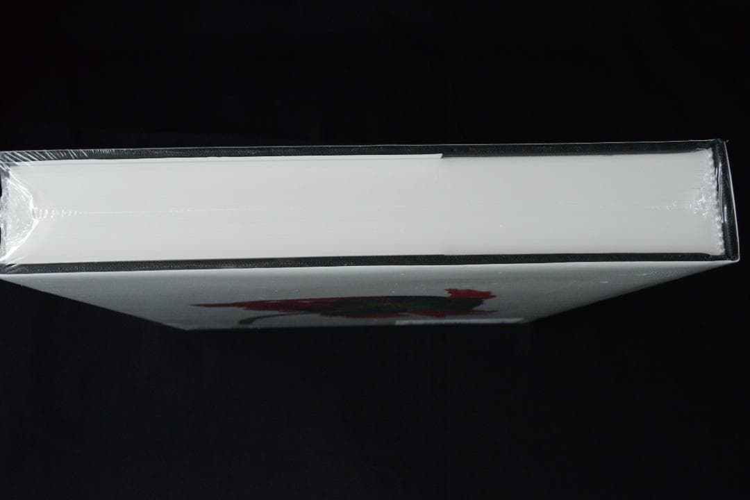 【Irving Penn：CENTENNIAL】　　★★大幅に再値引きしました。