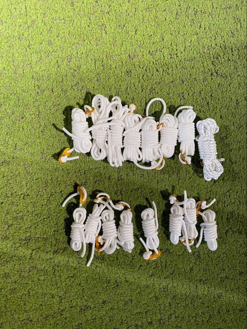 （美品）Ogawa オガワ　アポロン