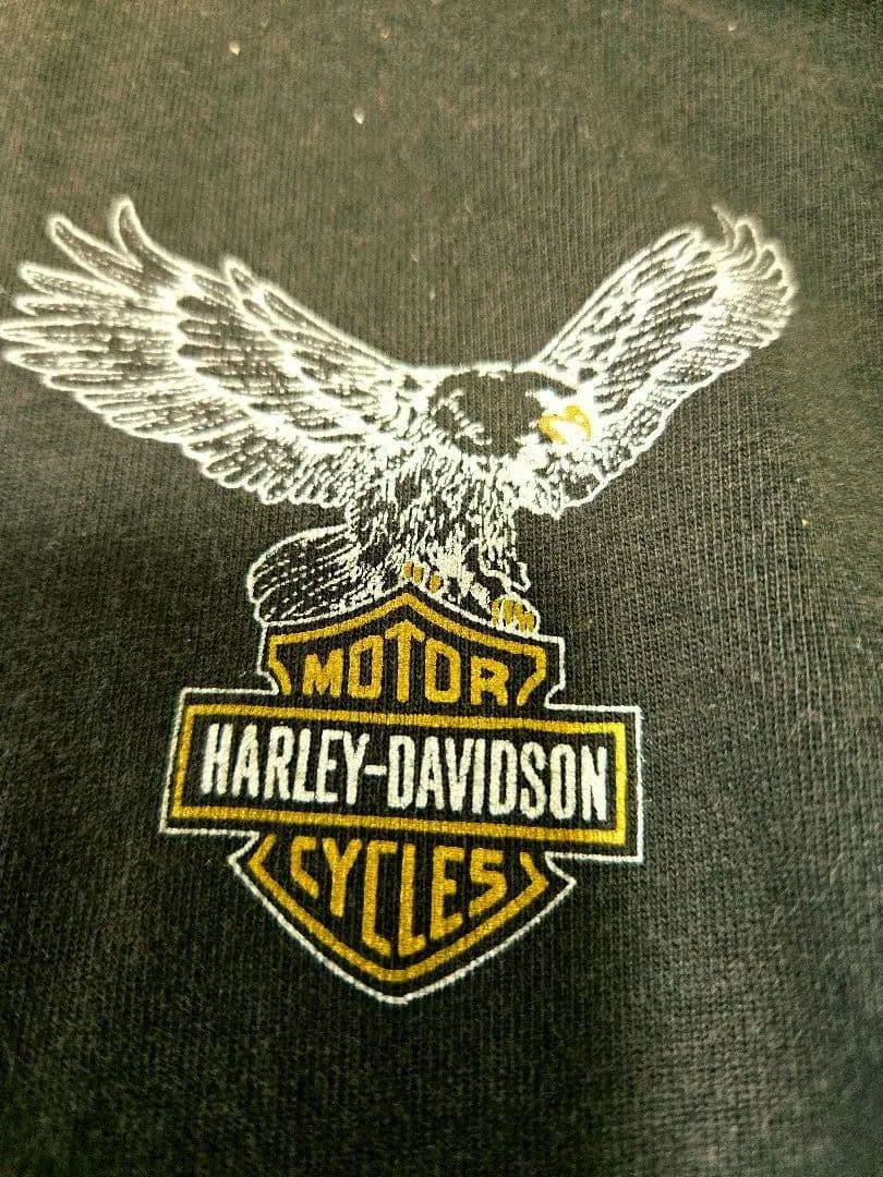 激レアイエローフレイム！Harley-Davidson 長袖カットソー ドラゴン