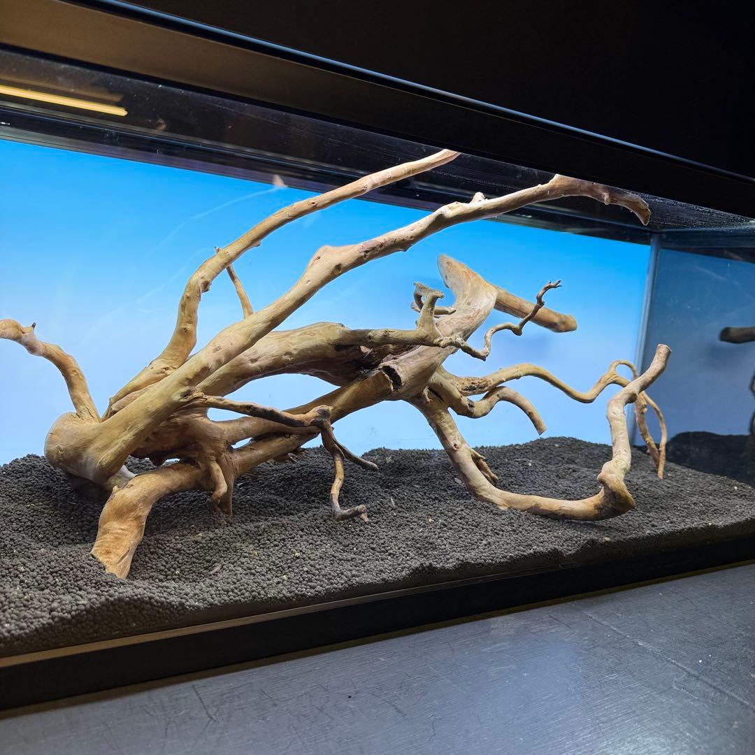 MDW-7104 ブランチウッド4本セット　流木セット　枝流木　アクアリウム