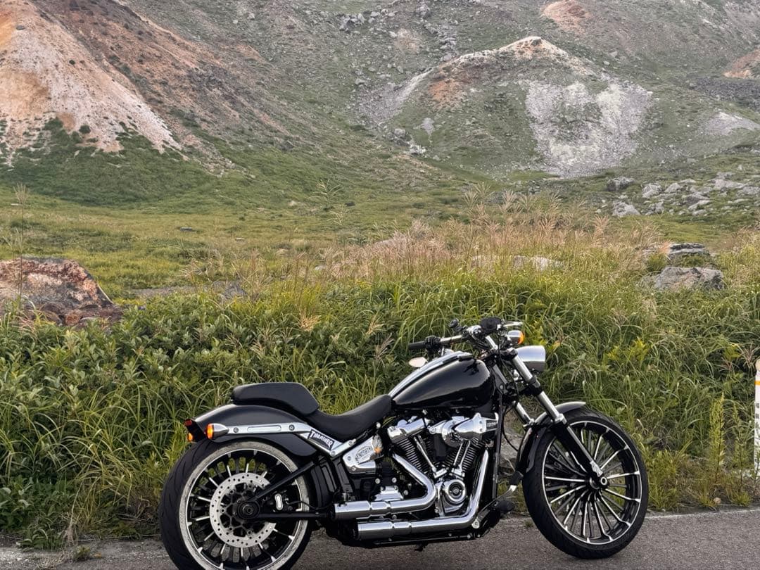 ハーレーダビッドソン用 Vance & Hines ミニグレネード