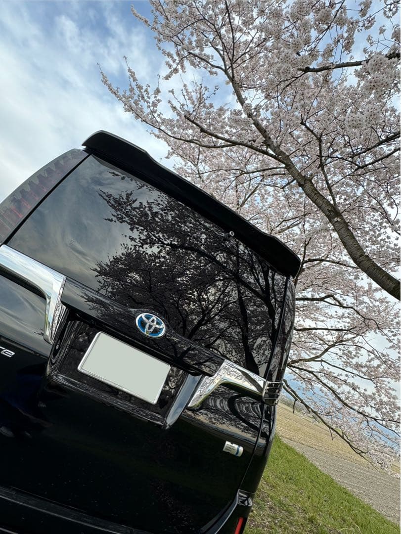 ダズテール　限定色！！　80ヴォクシーノアエスクァイア