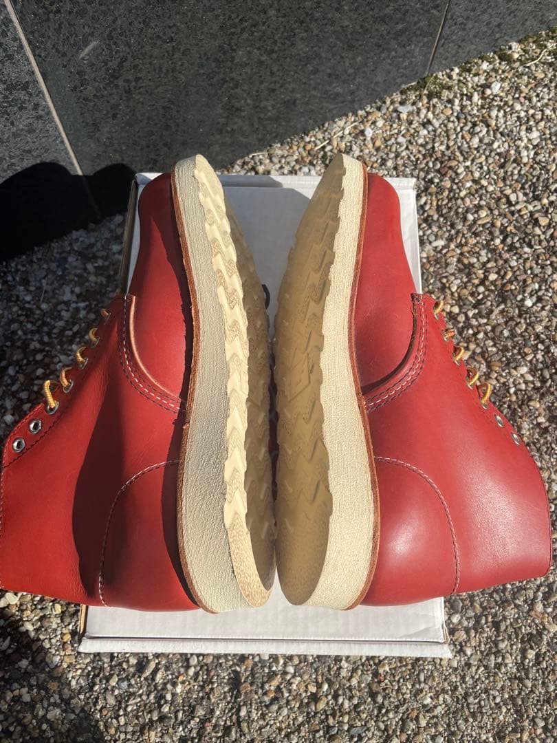 RED WING貴重 復刻犬タグ 8166 6inch アイリッシュセッター　2