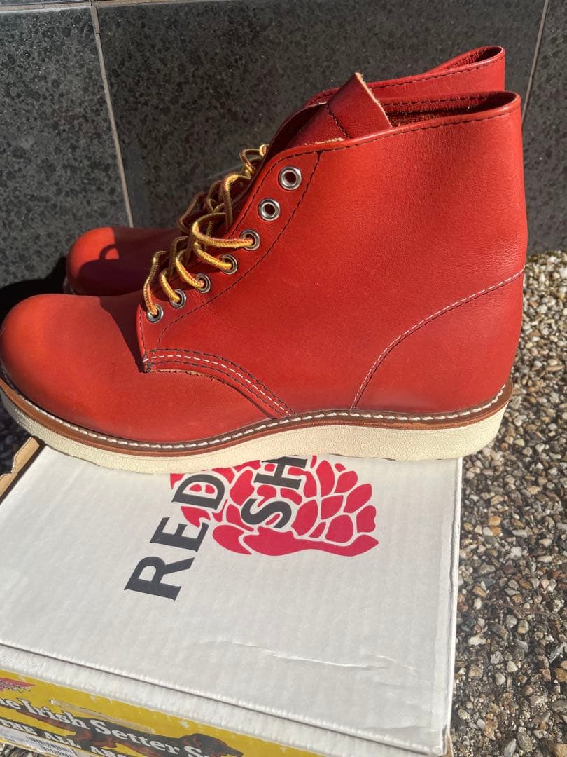 RED WING貴重 復刻犬タグ 8166 6inch アイリッシュセッター　2