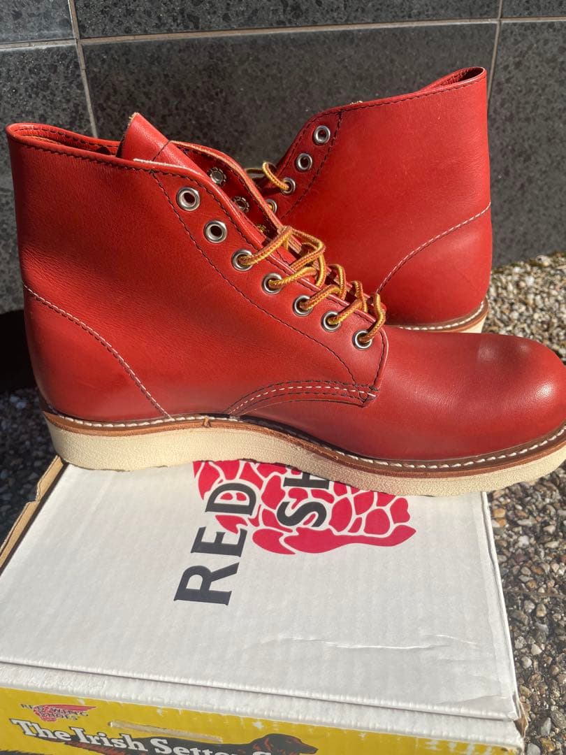 RED WING貴重 復刻犬タグ 8166 6inch アイリッシュセッター　2