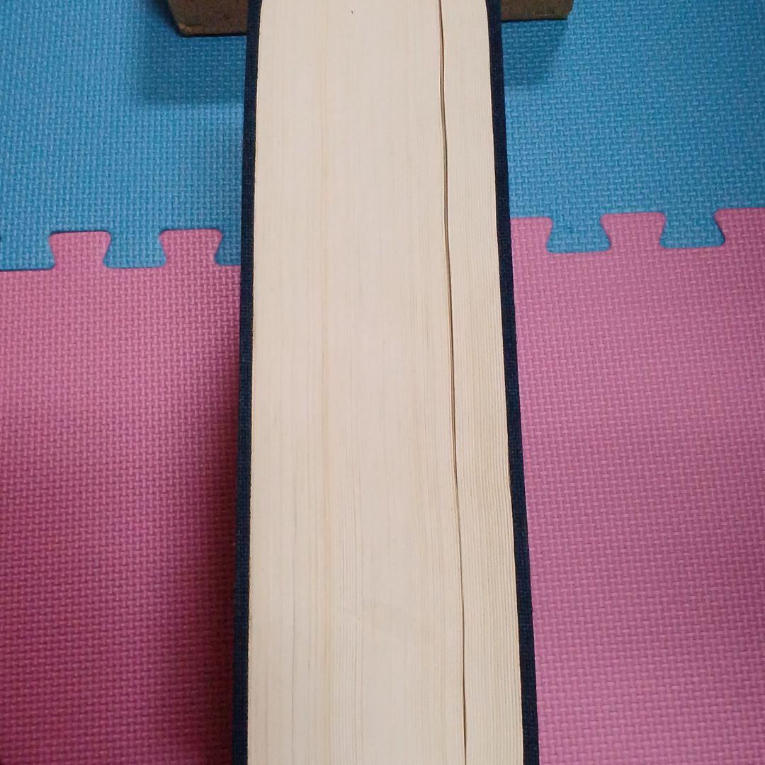 精説　沖縄空手道　その歴史と技法