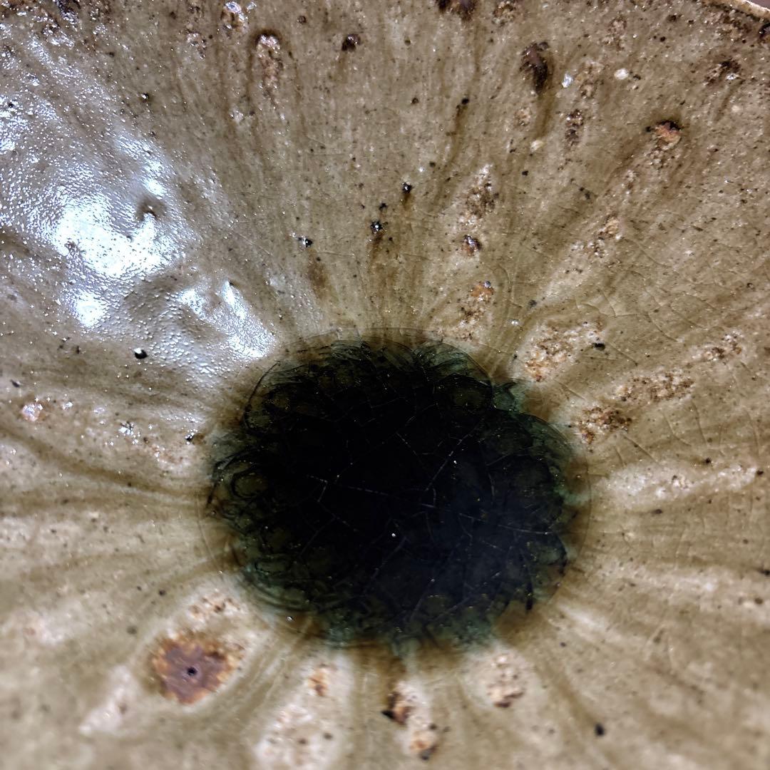 宮城陶器　宮城正幸　器　皿