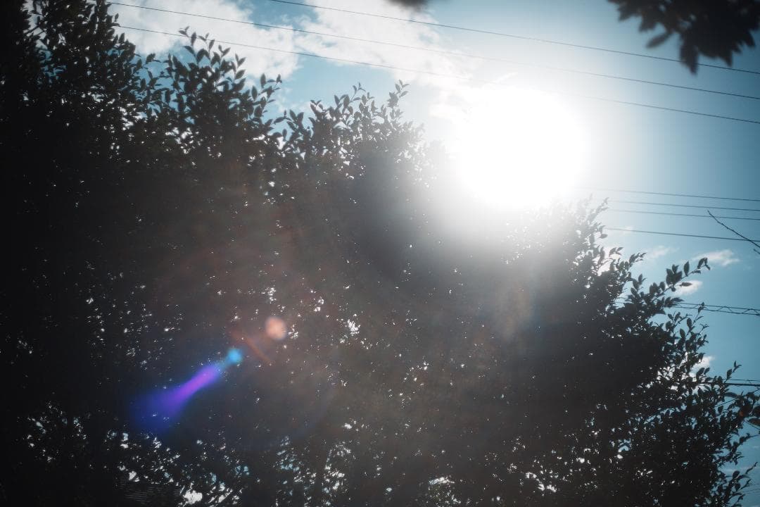 【この値段でライカ級】富岡光学製 XR RIKENON 50mm F2 481