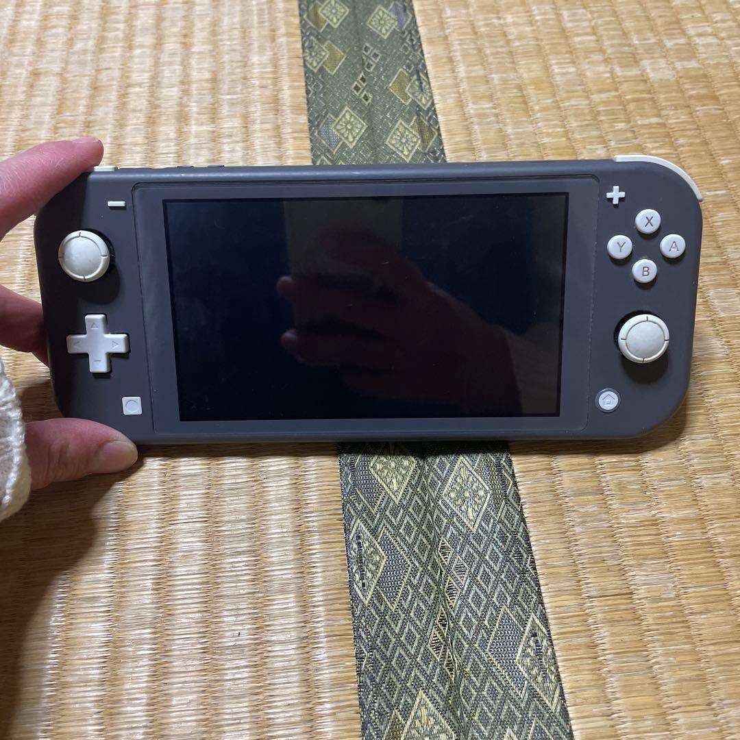 Switchライト　ジャンク品