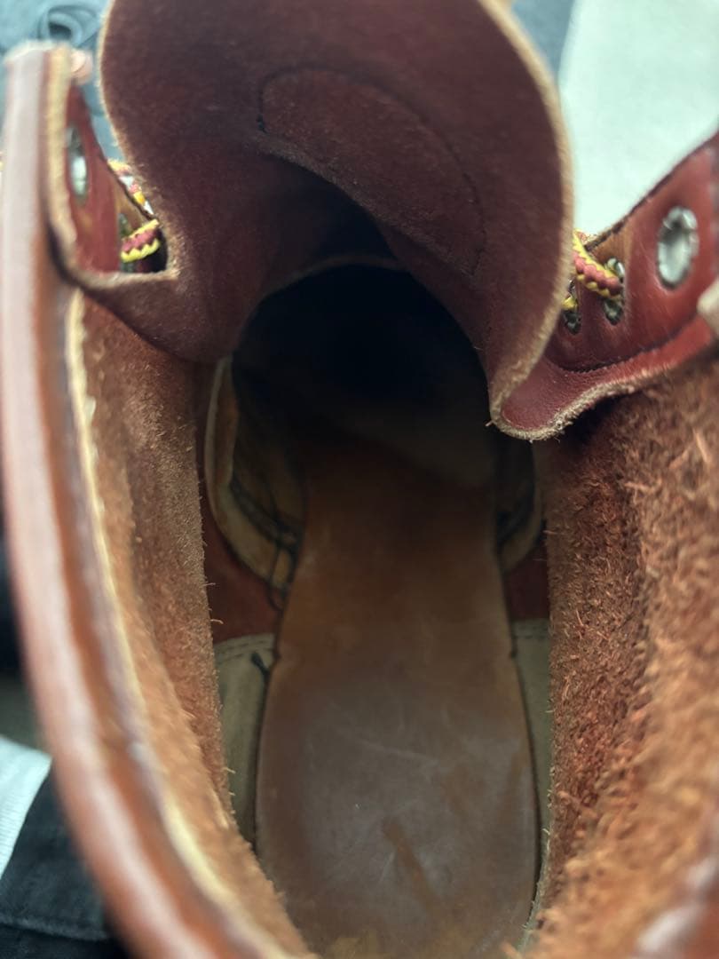 ひ*わ様 レッドウイング　犬タグ