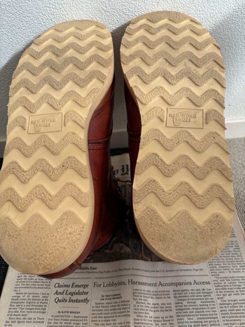 ひ*わ様 レッドウイング　犬タグ