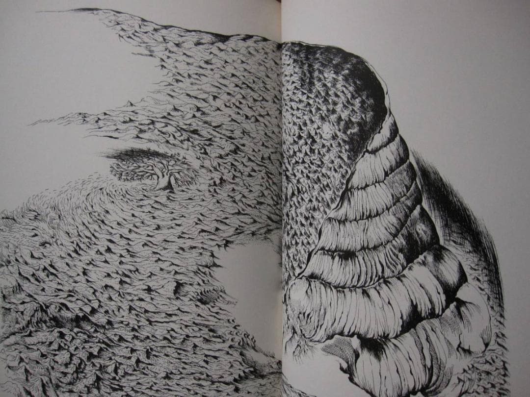 木葉井悦子　耳界　帯付き