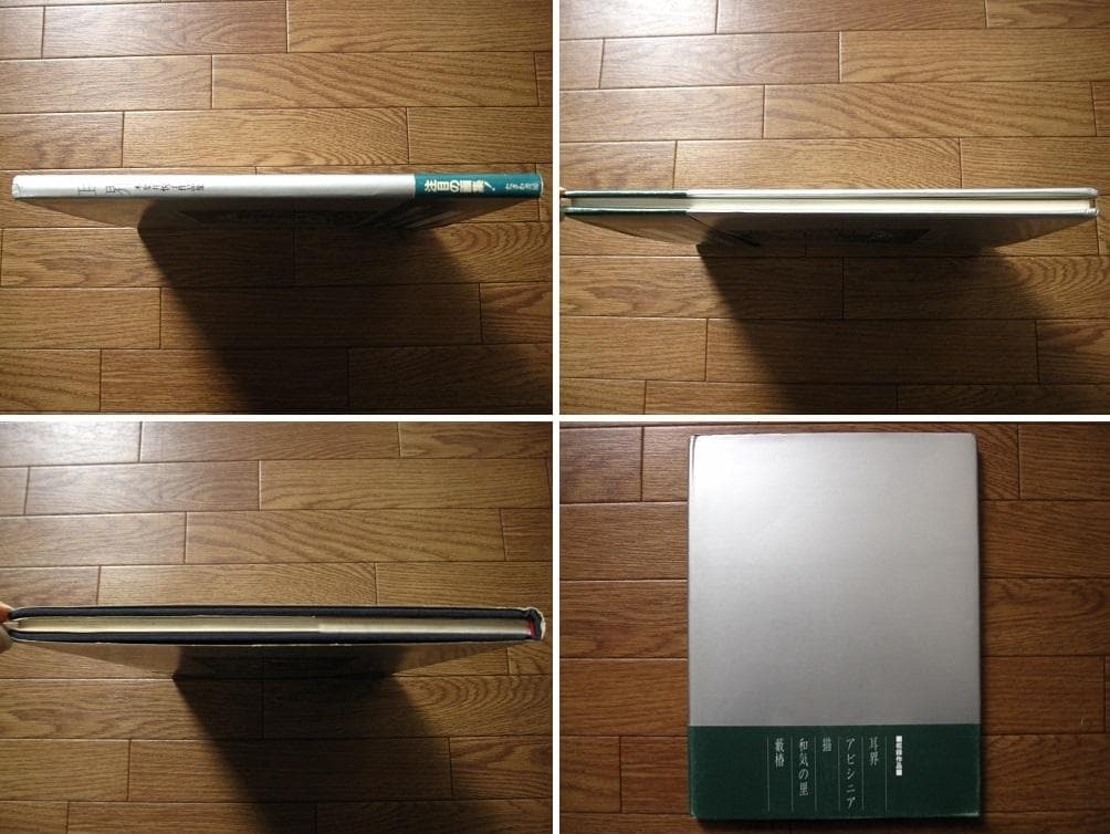 木葉井悦子　耳界　帯付き