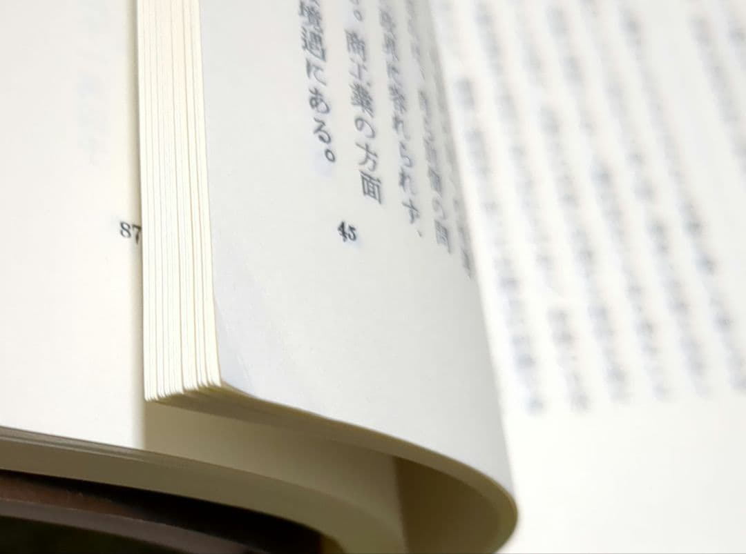 希少 バルカン 芦田均 岩波新書