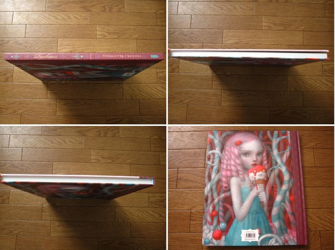 Daydreams　Nicoletta Ceccoli　ニコレッタ・チェッコリ