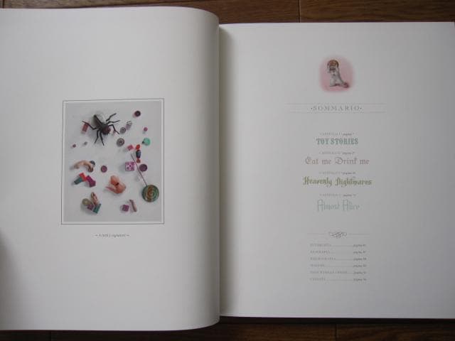 Daydreams　Nicoletta Ceccoli　ニコレッタ・チェッコリ