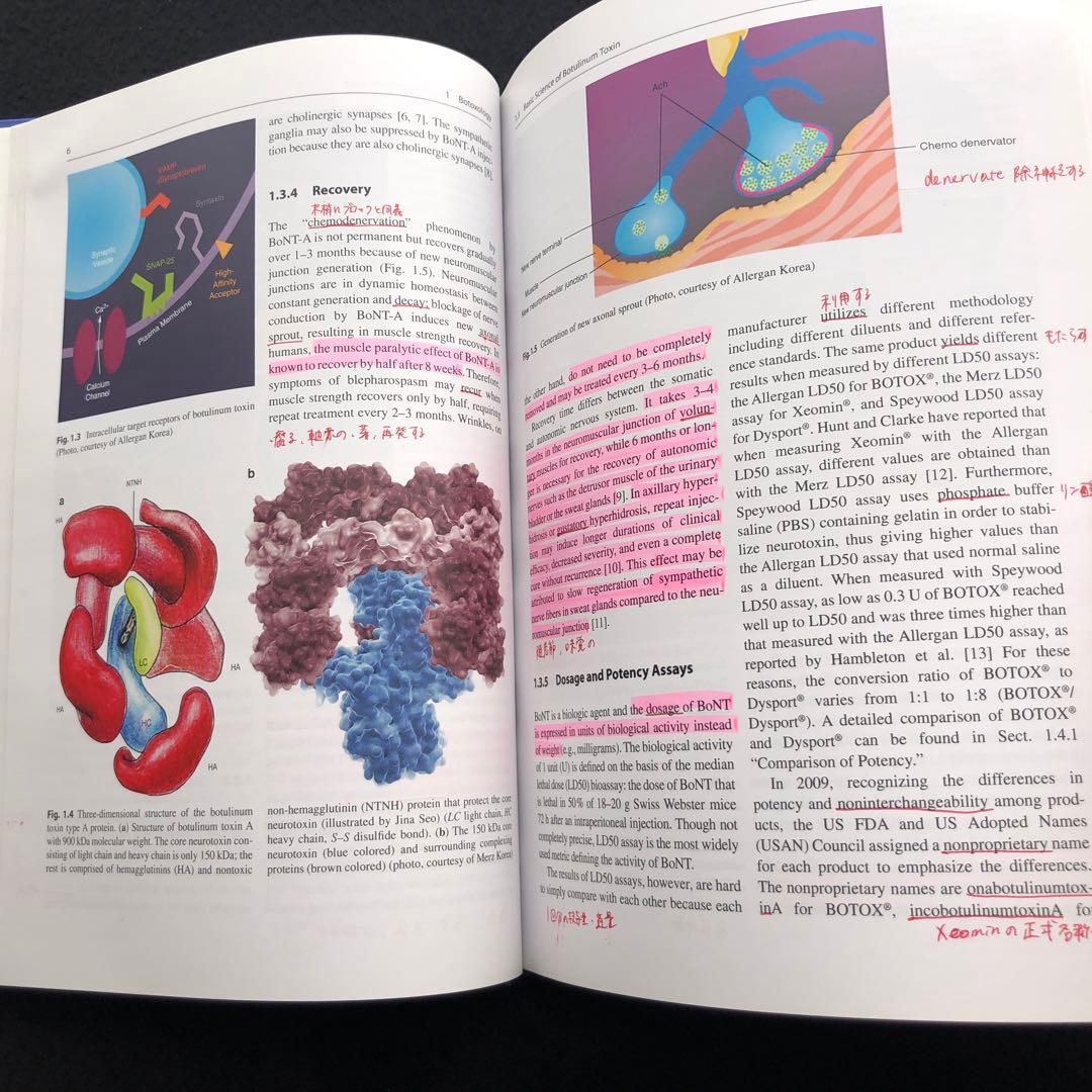 アジア人のためのボツリヌストキシン「Botulinum Toxin」