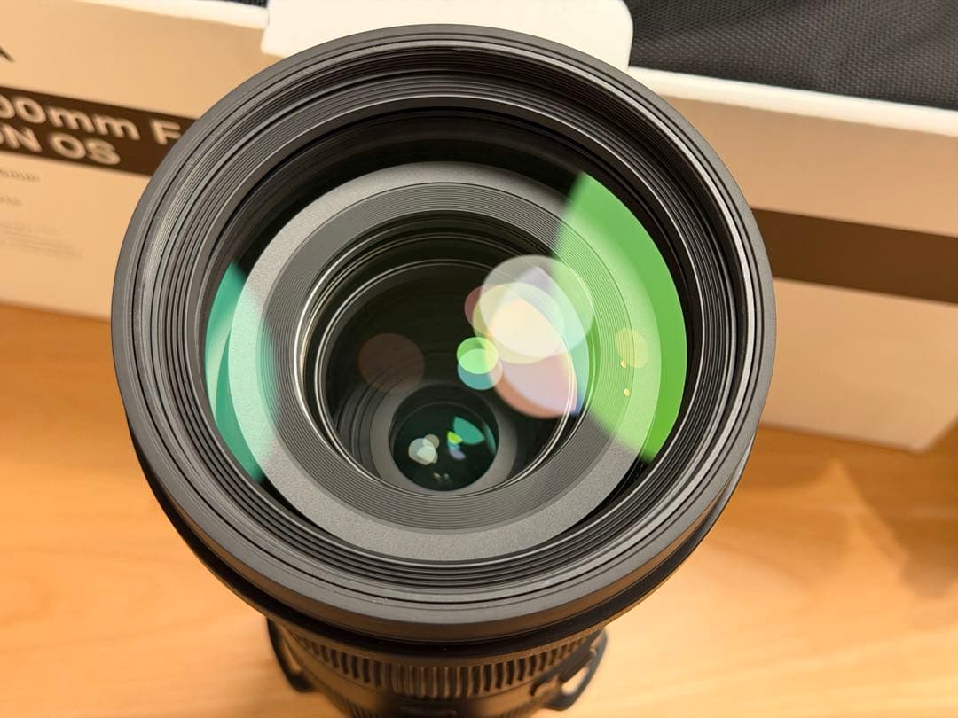 SIGMA 60-600mm F4.5-6.3 DG DN OS - Eマウント