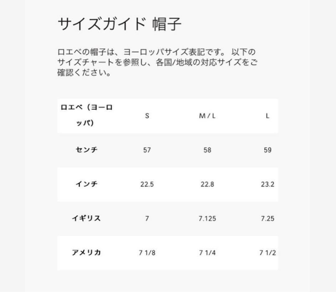 本日限定値下げ　LOEWE バケットハット ブラウン