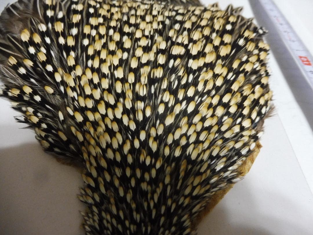 ジャングルコックのケープ　フライタイイング