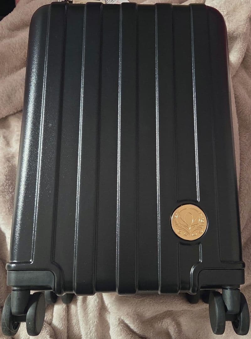 ディズニー エルサ キャリーケース 5点セット