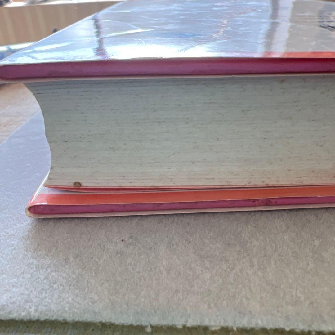 アミ 3度めの約束 エンリケ・バリオス著