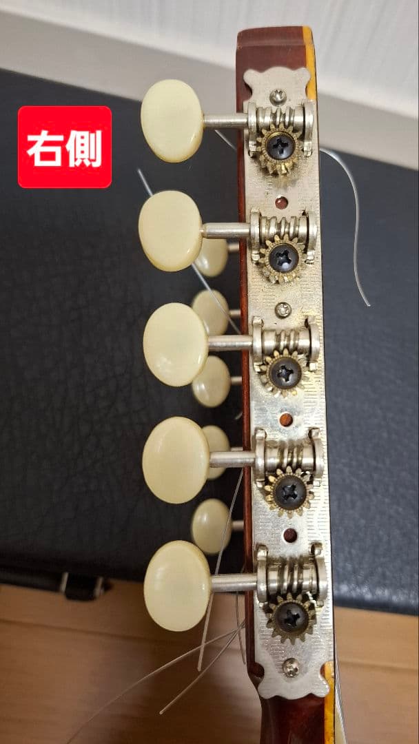 チャランゴ ガンボア　ハードケース付き