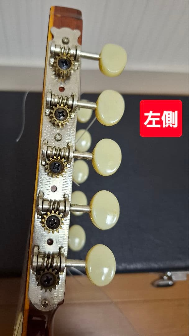 チャランゴ ガンボア　ハードケース付き