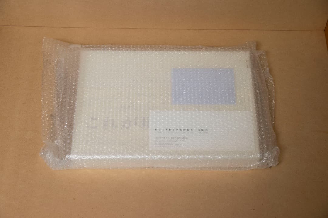 大橋仁　そこにすわろうとおもう　未開封