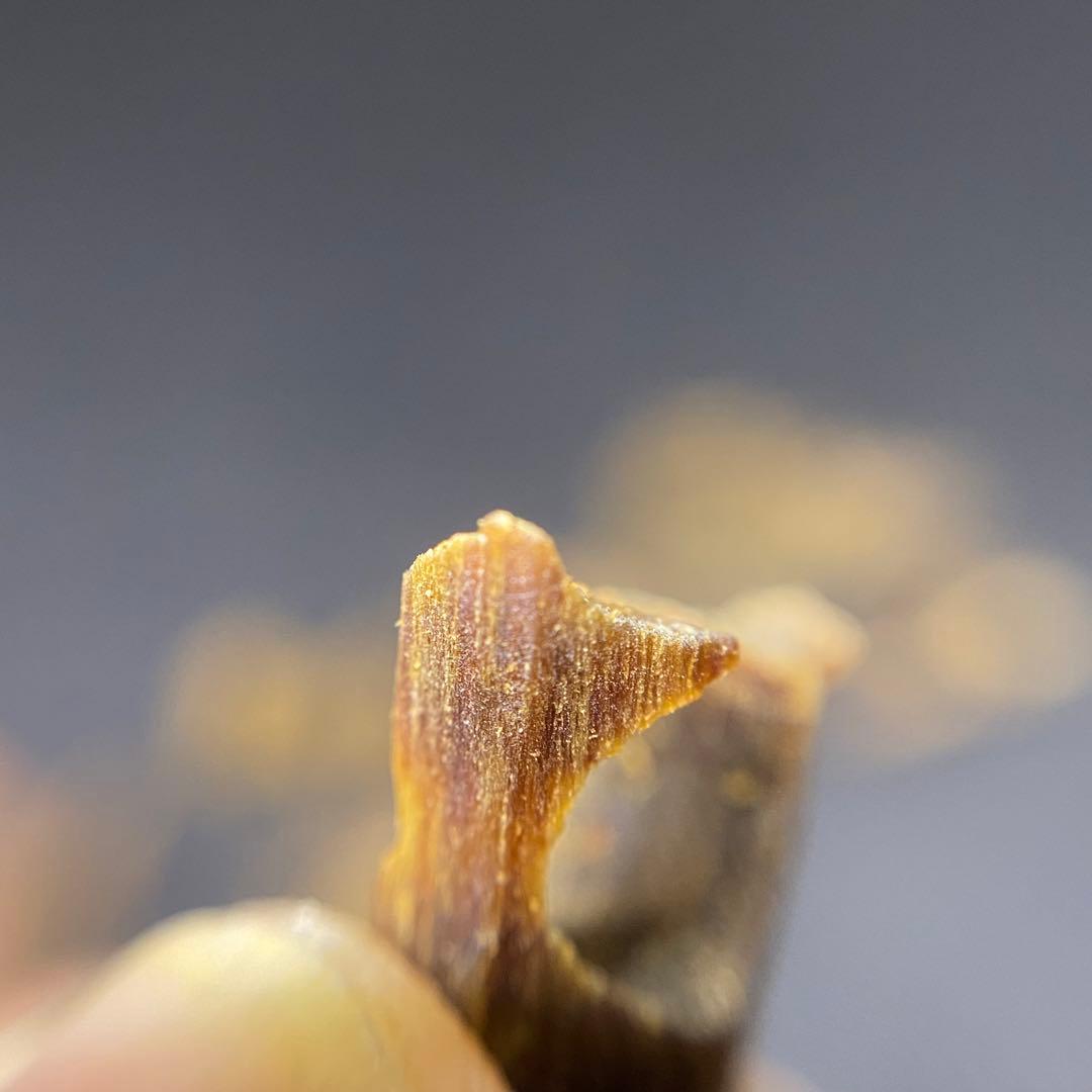 【極上品】高油分 伽羅 くり抜き端材 香木 濃厚な香り　5g