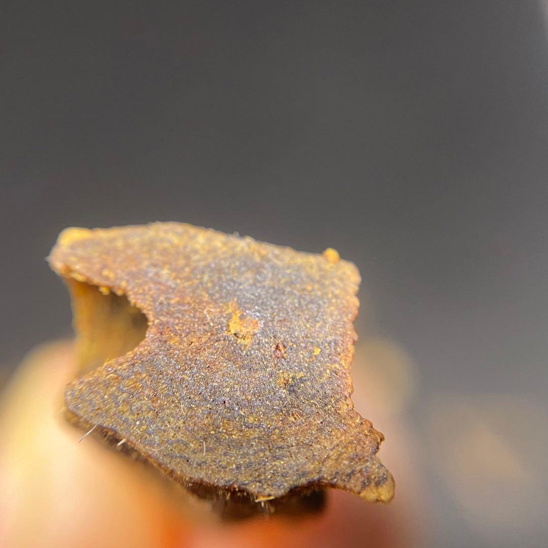 【極上品】高油分 伽羅 くり抜き端材 香木 濃厚な香り　5g