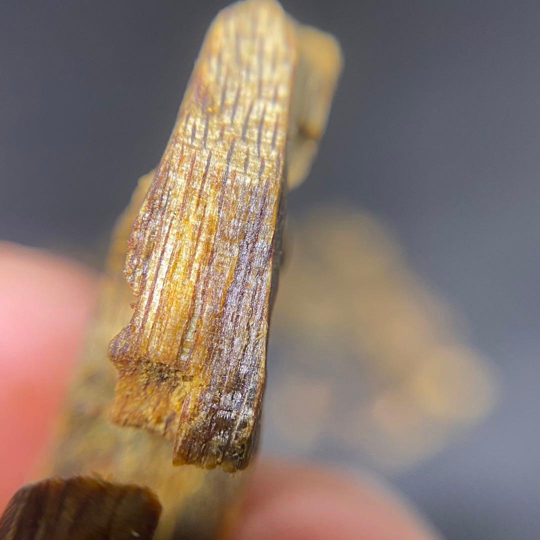 【極上品】高油分 伽羅 くり抜き端材 香木 濃厚な香り　5g