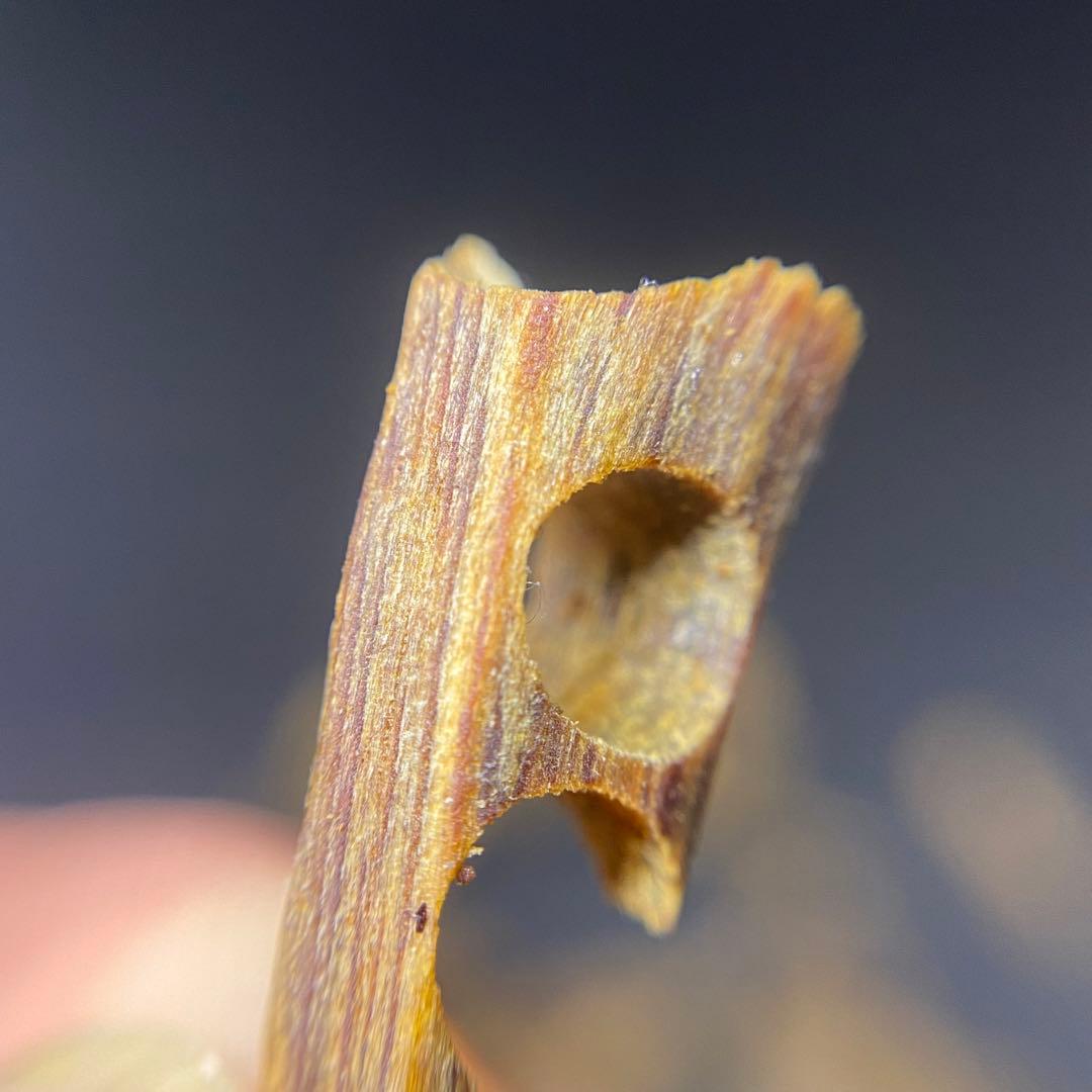 【極上品】高油分 伽羅 くり抜き端材 香木 濃厚な香り　5g