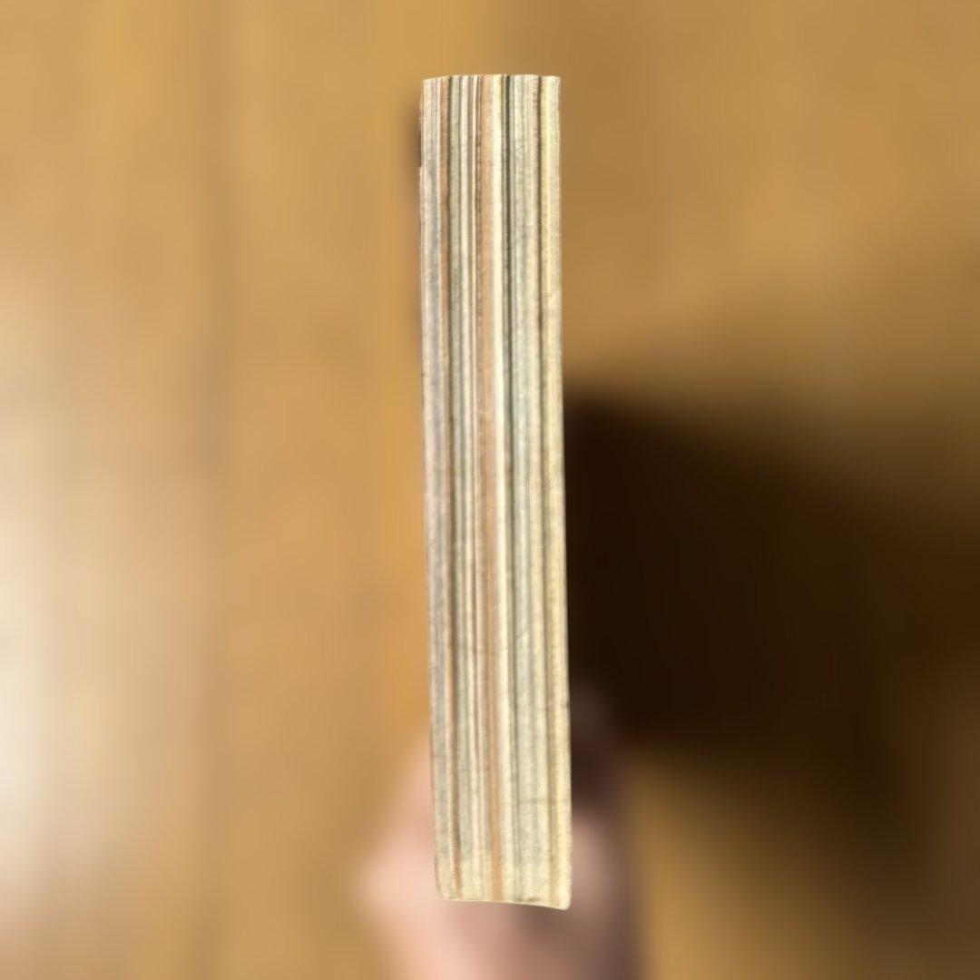 週刊少年ジャンプ 1998年29号 ONE PIECE初期カラー号