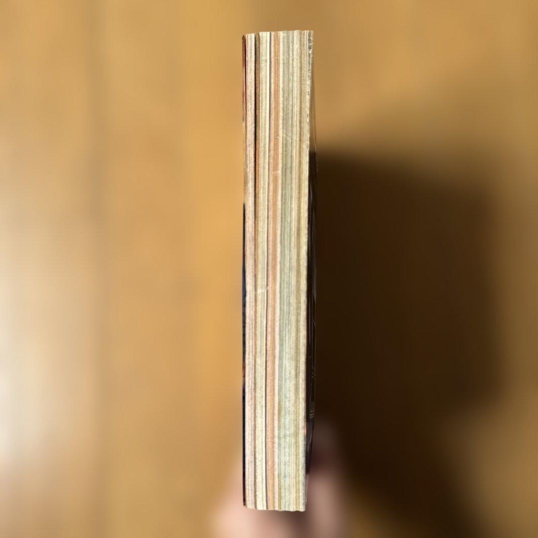 週刊少年ジャンプ 1998年29号 ONE PIECE初期カラー号