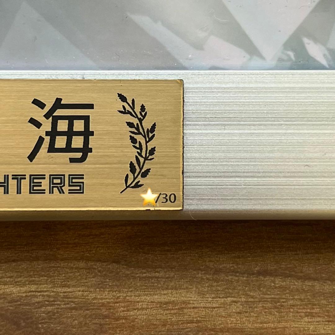 【伊藤大海】球団公式メモラビリア 直筆サイン入りフォトパネル 証明書付き