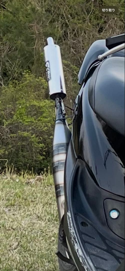 ひ*と様 rb Worksチャンバーライブディオzx用