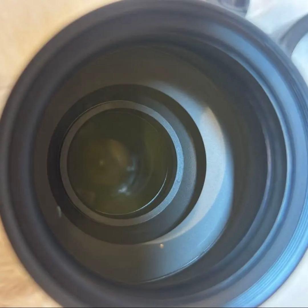 レンズ(ズーム) AF-S NIKKOR 55-300mm f/4.5-5.6G ED VR