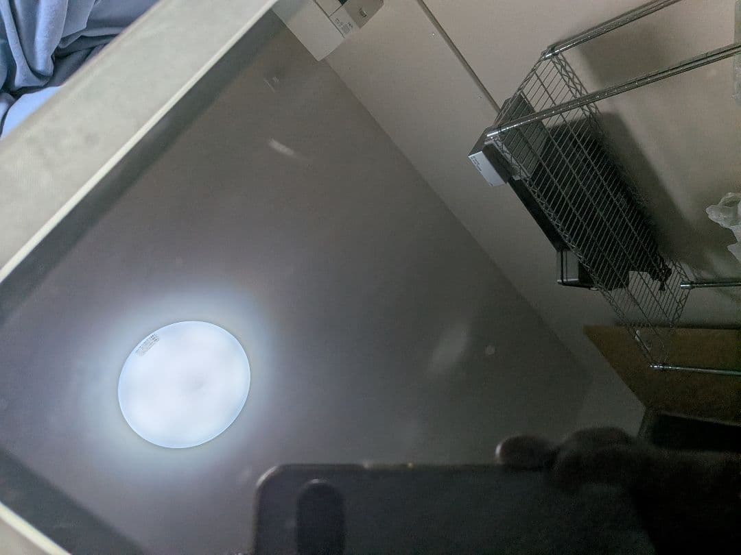 H*）様 iPadPro 12.9 第5世代 512GB Cellular (A